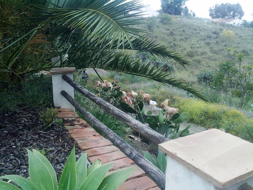 Attico Los Montes With Private Pool Vinuela Room photo